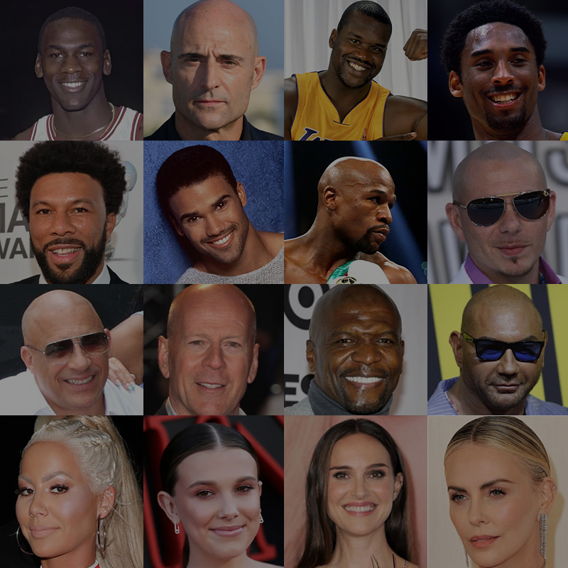 41 Sławnych łysych Gwiazd